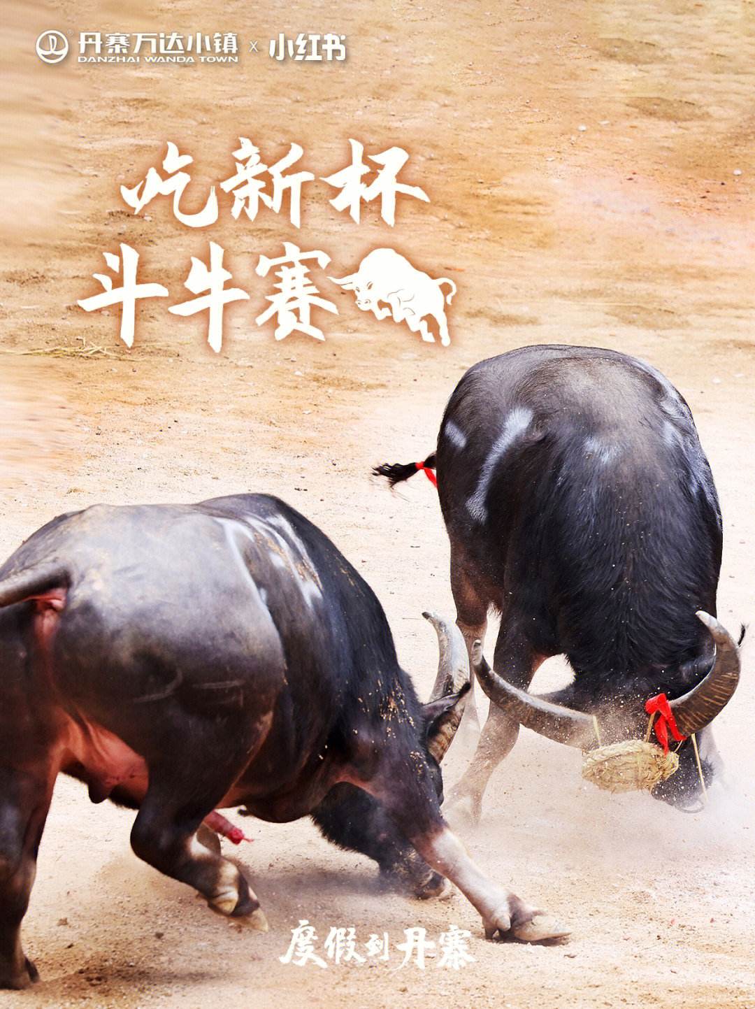 乐鱼（中国）体育官方网站-传统斗牛竞技比赛，融合文化的激情对抗的简单介绍