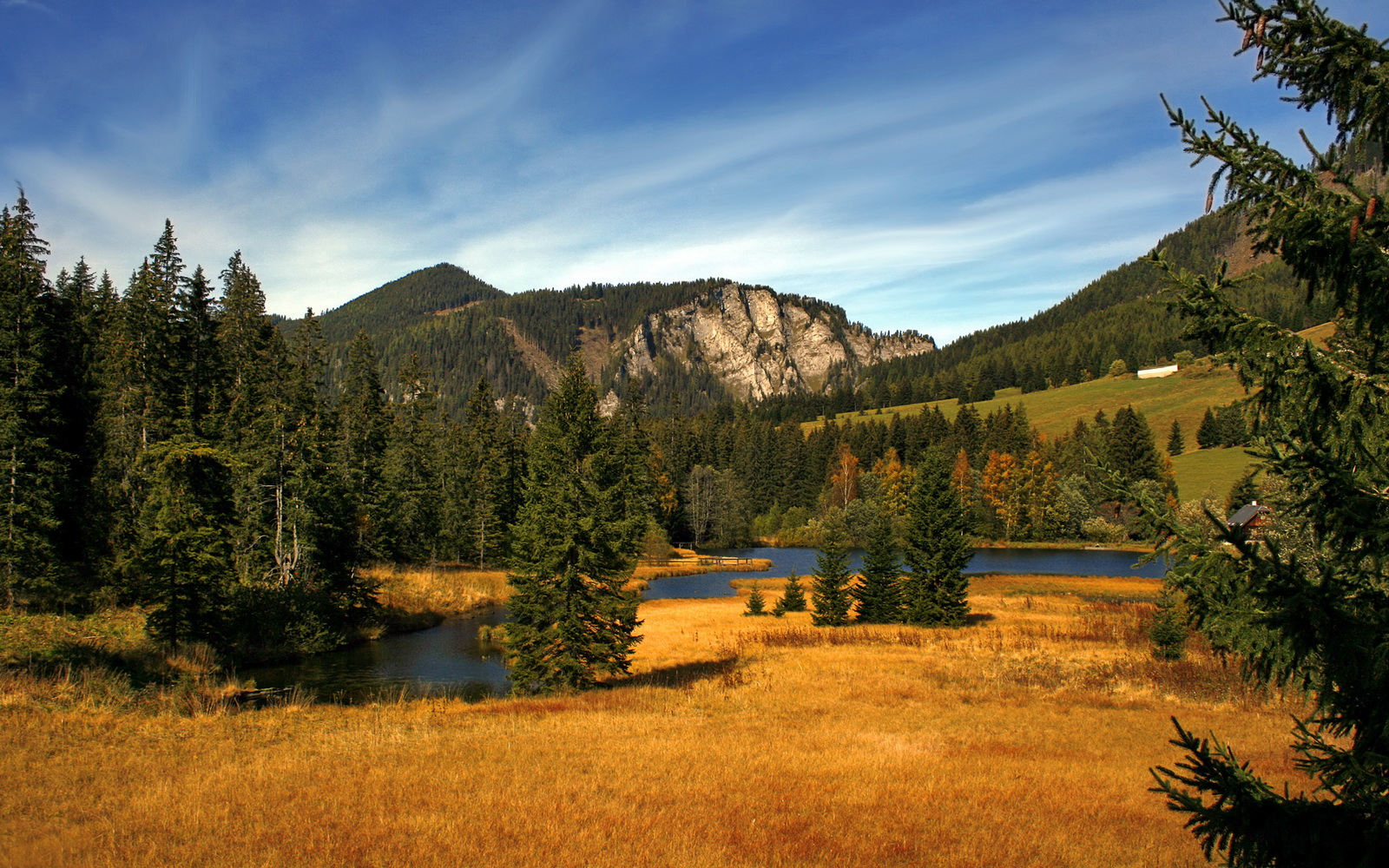 “中国足球+文化创意”产业融合创新推动行业转型升级，振兴中国足球产业的设计方案