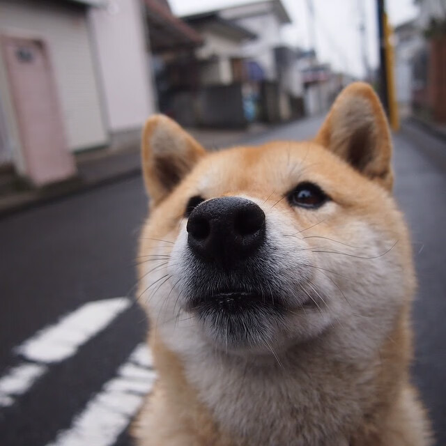 “绿色生态场馆+智能管理”成为行业新标配,行业基础更牢固,绿色生态长廊什么意思