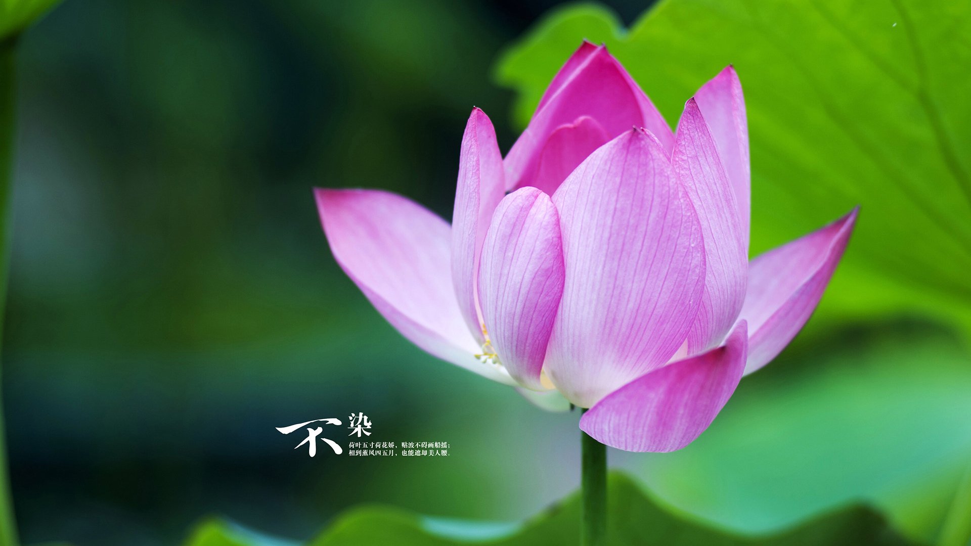 《智能硬件助力:电竞装备升级引领行业新潮流》,智能硬件创意