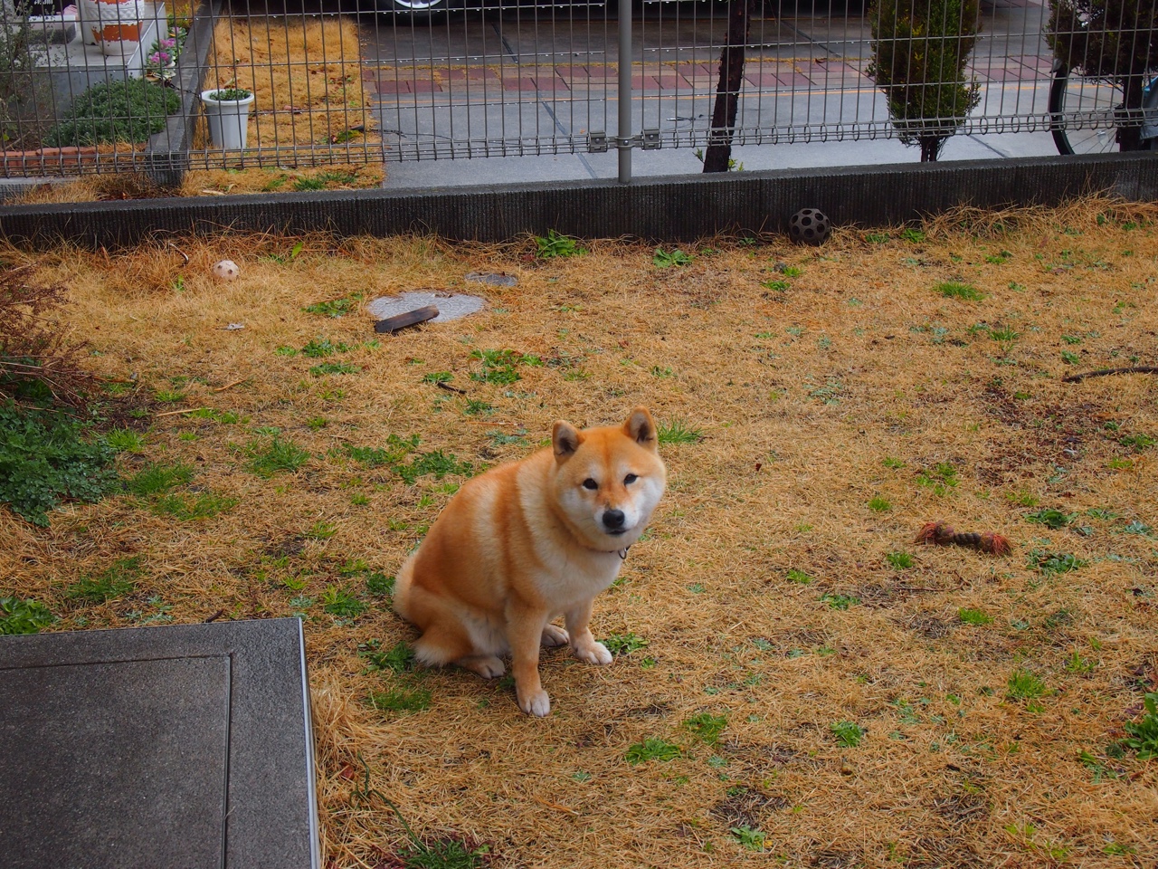 【规则制定】联盟未来可能推出的新规大揭秘,联盟规则大全