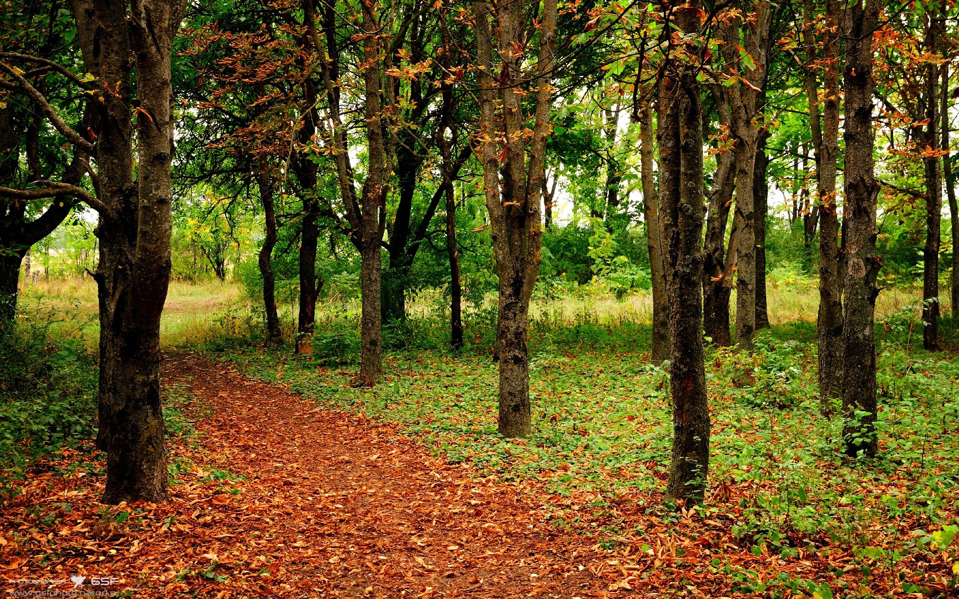 乐鱼体育登录-云游戏技术在电竞领域的应用：降低门槛与随时随地畅玩，云游戏技术成熟吗