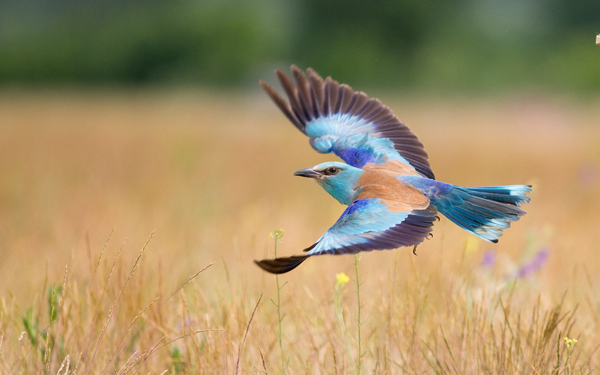 全场聚焦：李明砍下28分，主宰比赛局势！，李明集锦