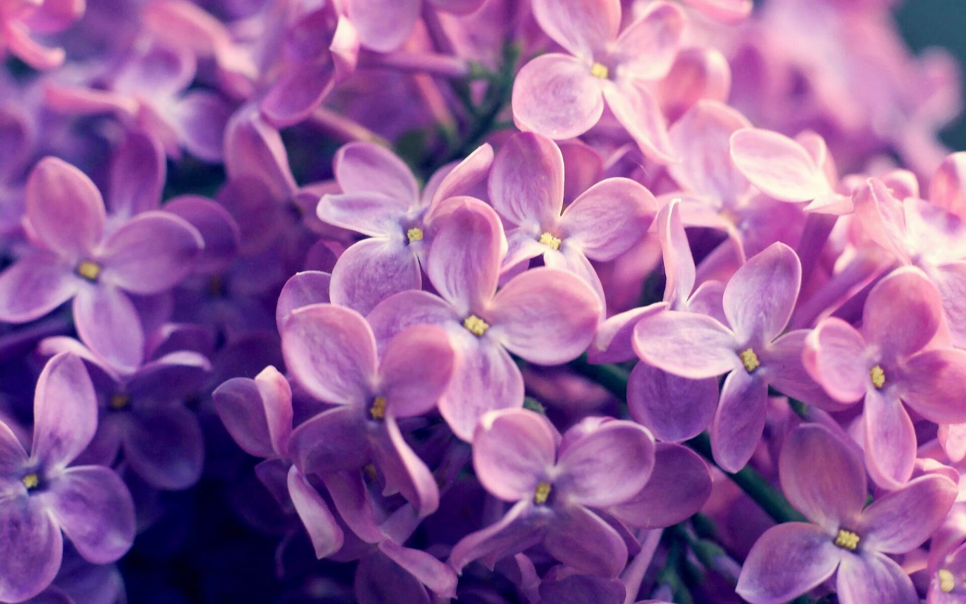 乐鱼体育-足球运动常识列入中小学课程标准试点，足球课程体系