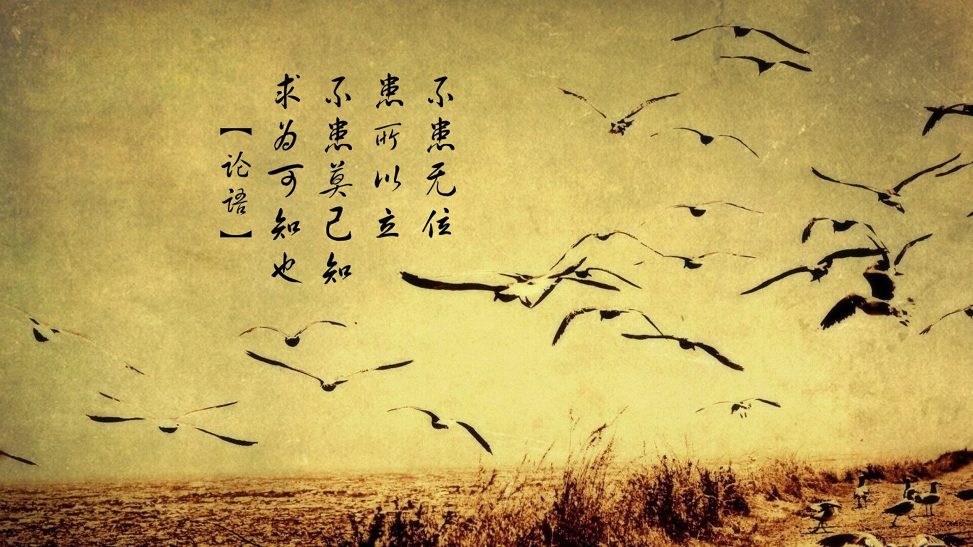 乐鱼体育App下载-尤文图斯客场不敌阿贾克斯，呈现惨淡状态，尤文图斯对战