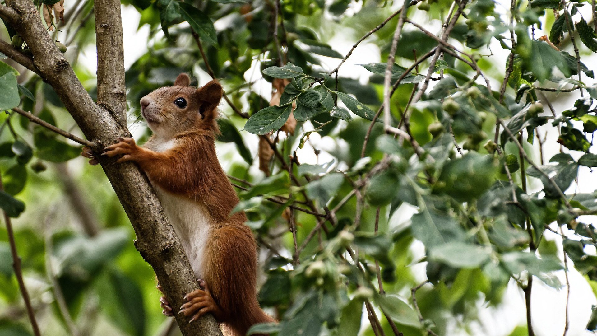 leyu乐鱼官网登录入口-球队传控短打战术崛起，展现持球优势，短传球力度掌控能力