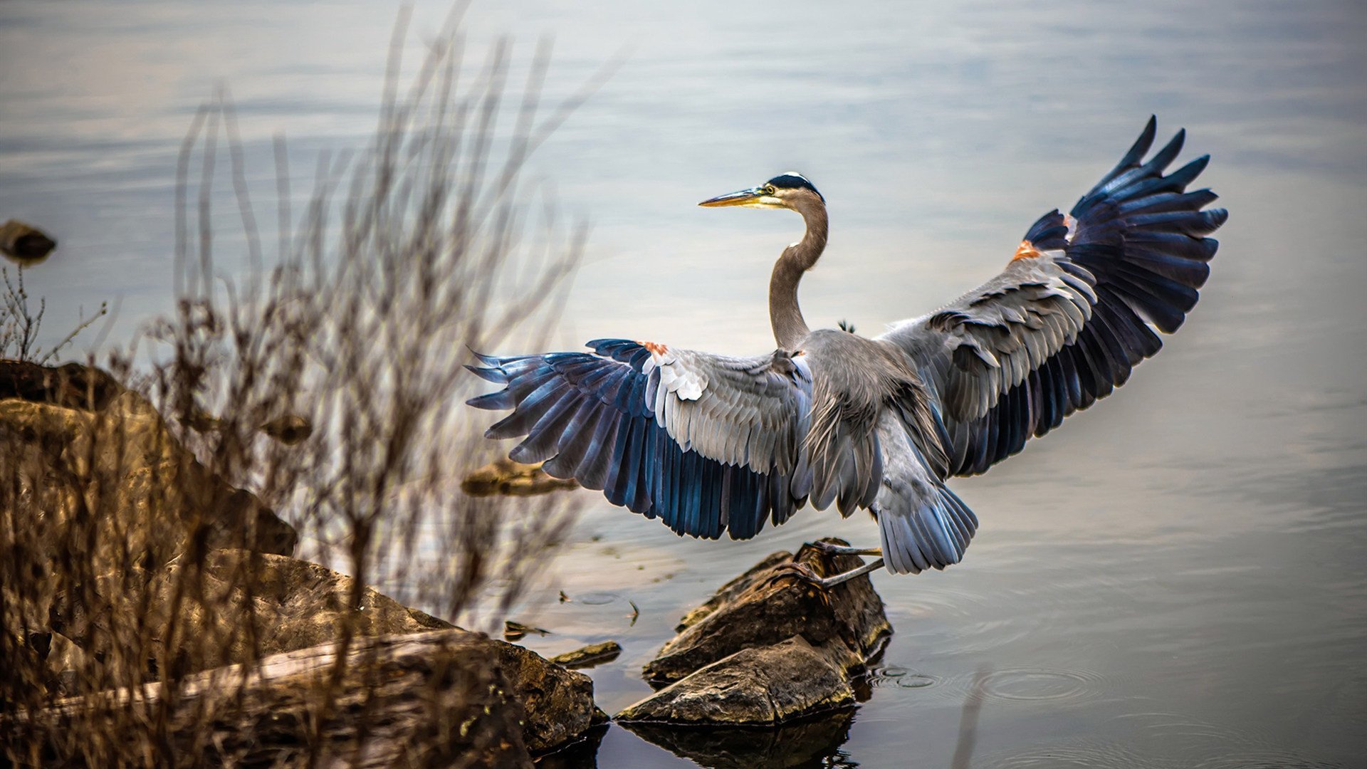 综合射击联赛科技助力成绩分析,射击资格赛成绩