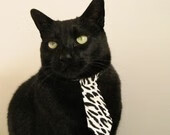 乐鱼（LEYU）体育-陕西主场力拼四川，决胜关头表现重要，陕西国力主力阵容