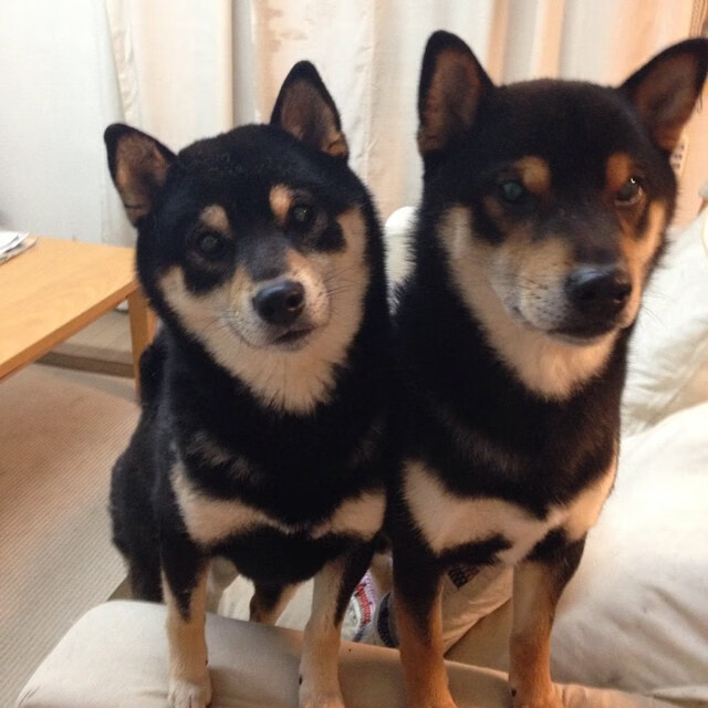 德甲高清球场摄像系统辅助战术分析报告