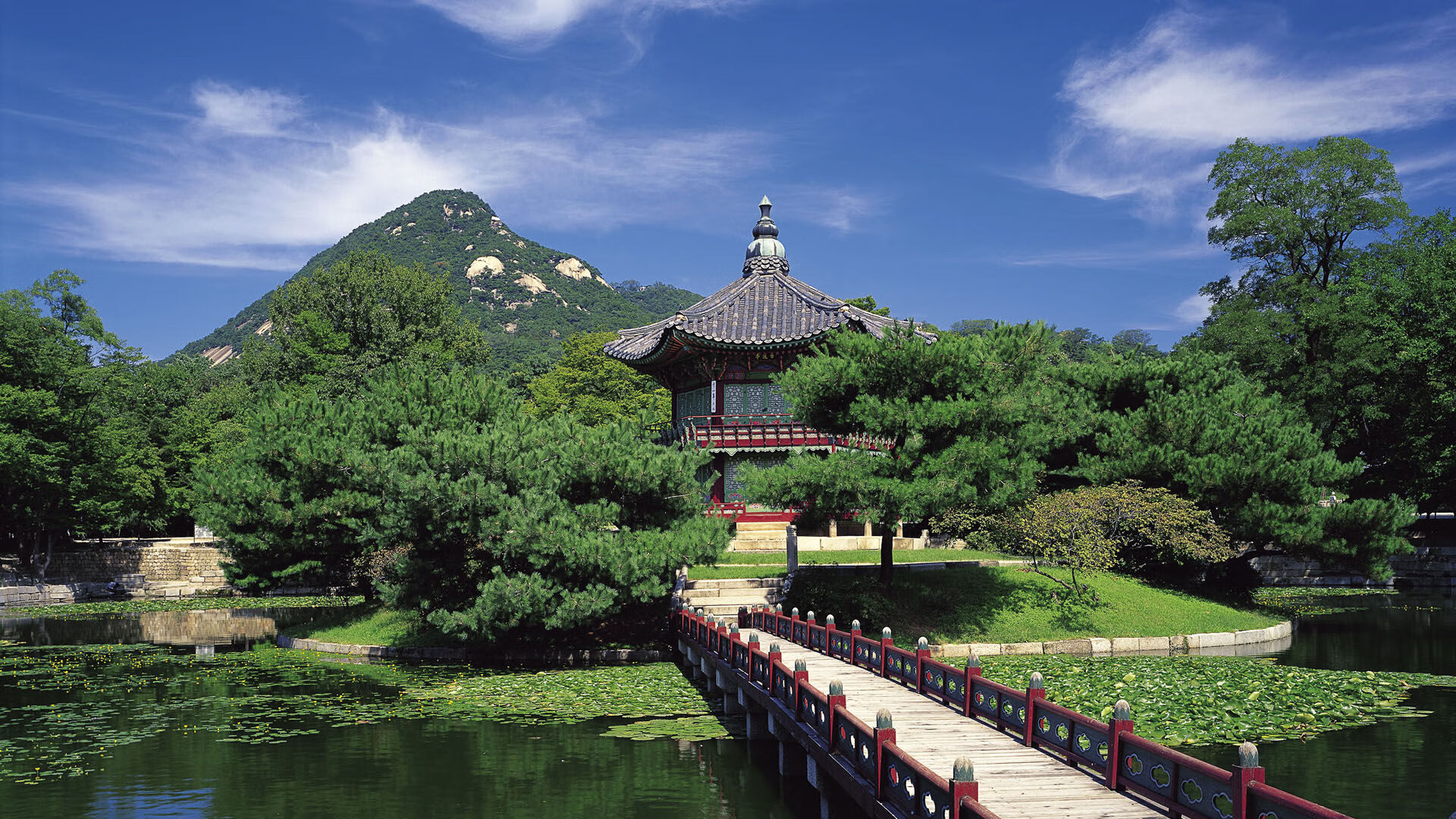 乐鱼vip-辽宁飞豹提高外线出手选择减少不必要失误，辽宁飞豹官方