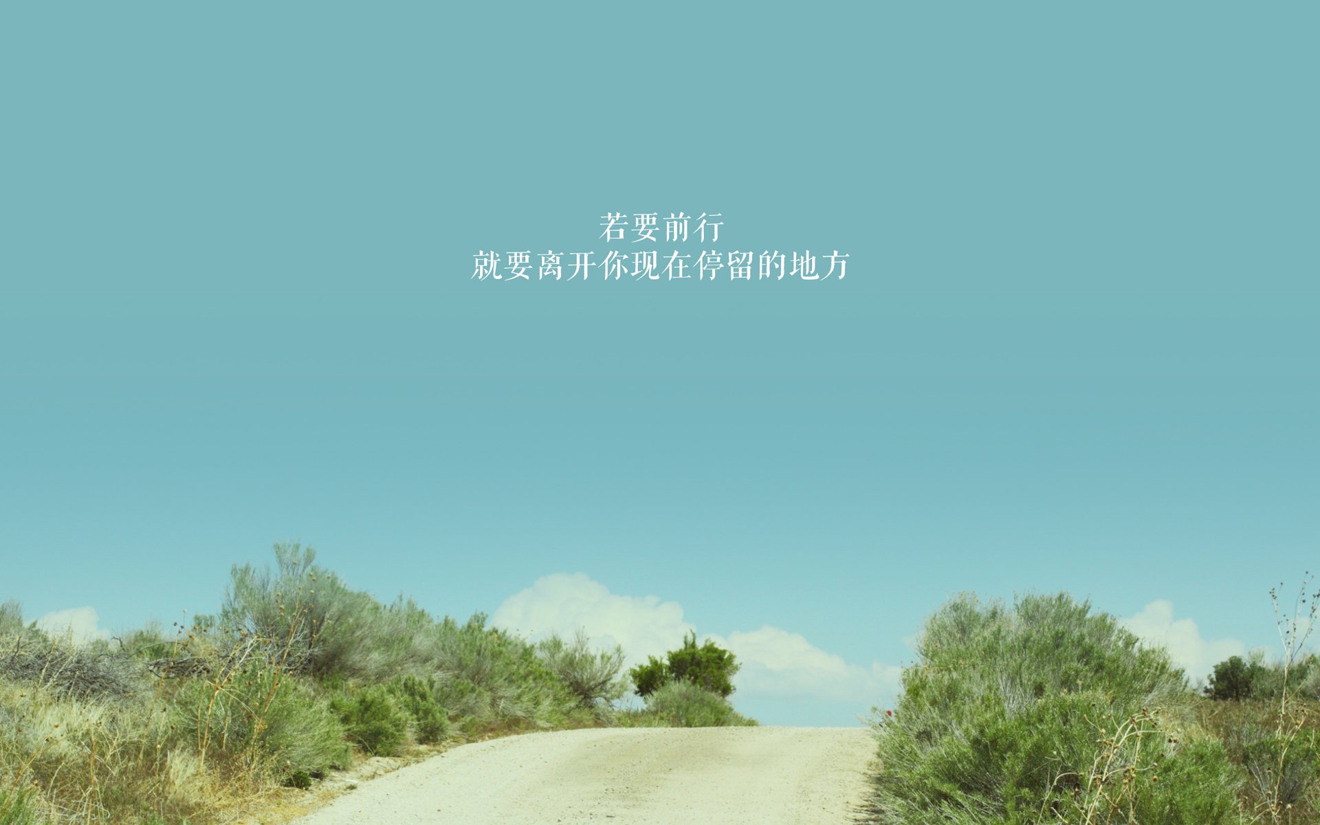 配速调整在蝶泳比赛中的作用,蝶泳配合动作要领