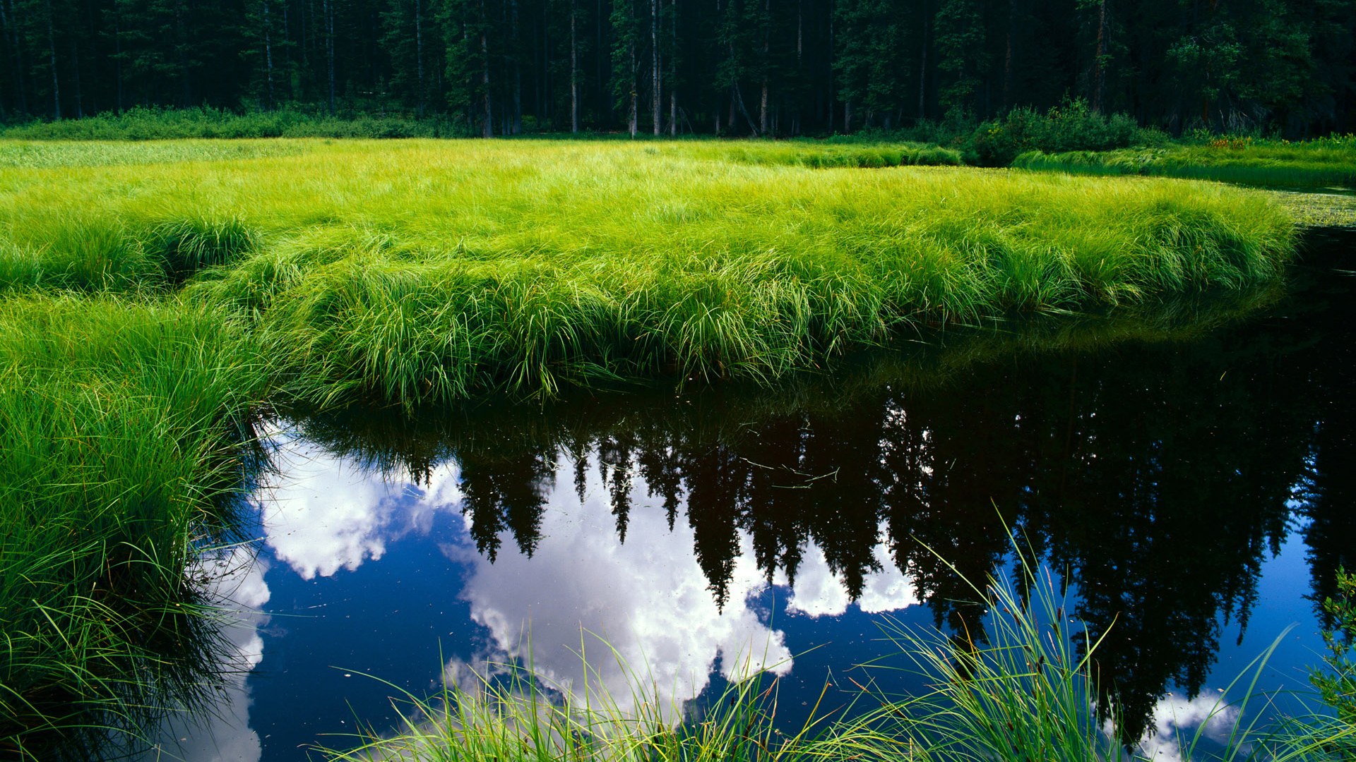 马术障碍赛国家集训队名单公布，马术障碍赛最高纪录