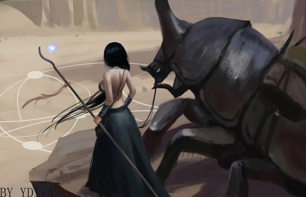 马术障碍赛国家集训队名单公布，马术障碍赛最高纪录