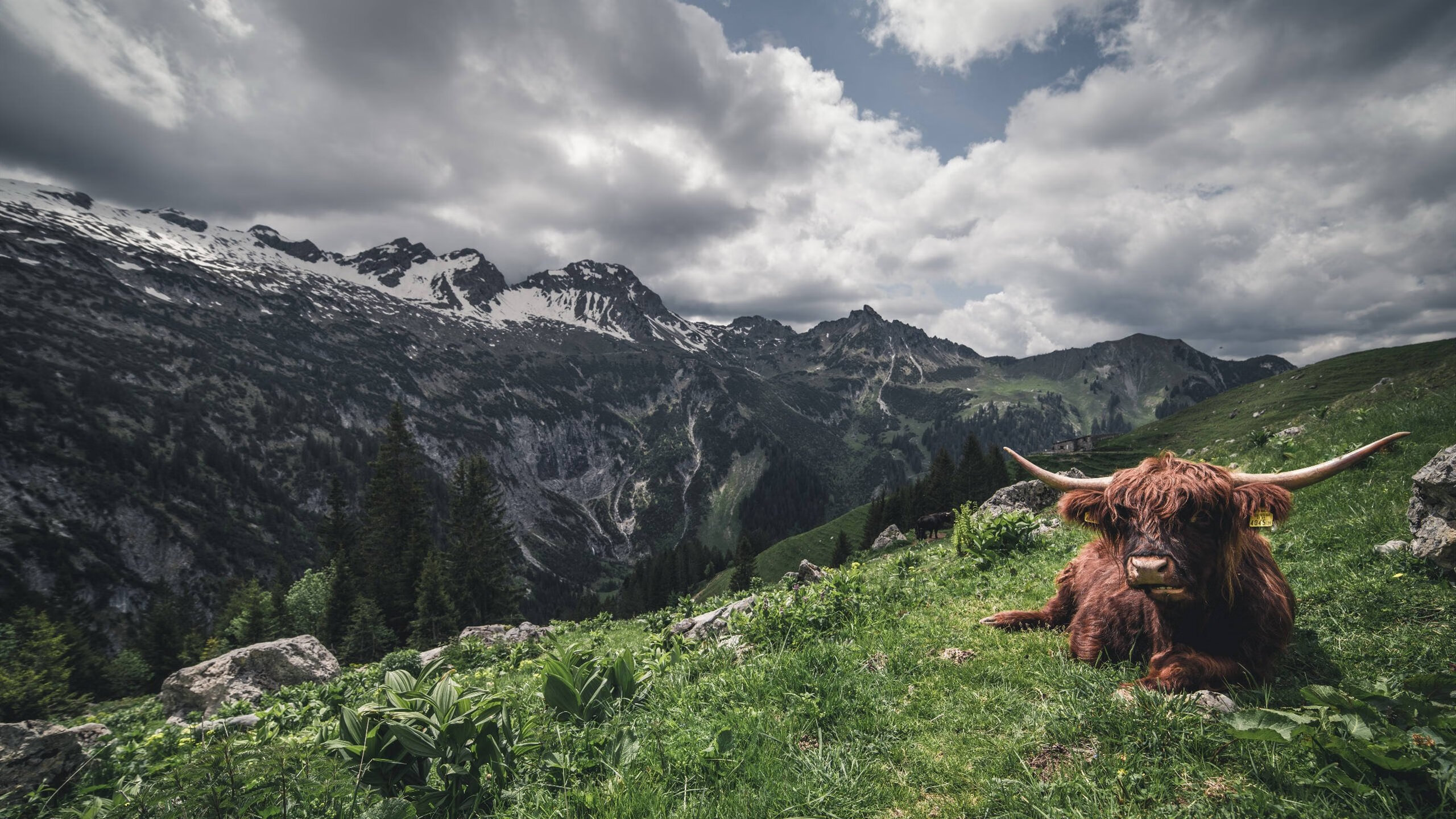 APP下载 LY Sports-国王主场作战命中率高于联盟平均水平，国王主场在哪