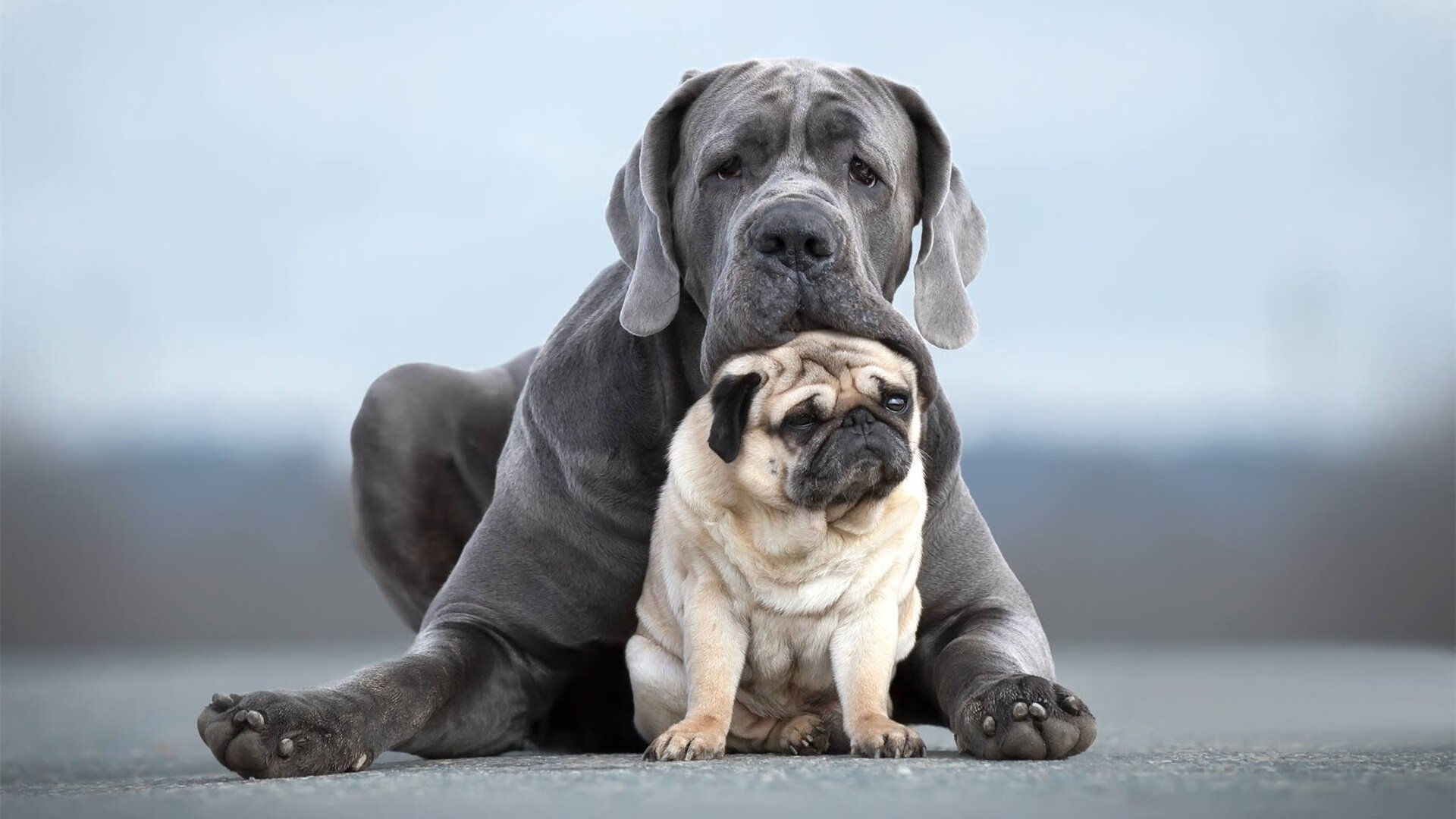 leyu.com-德甲新赛季商业赞助报告，德甲商业化