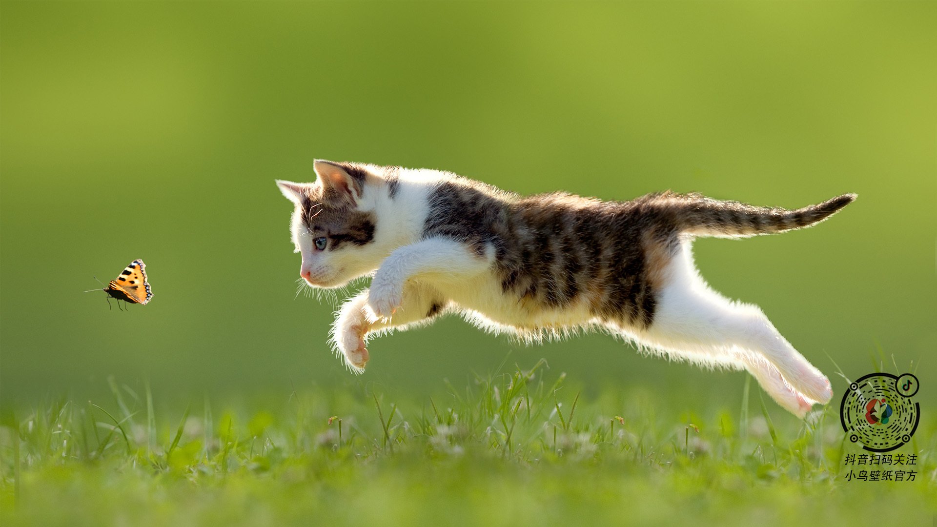 掘金发布训练纪录片呈现幕后奋斗故事，掘金english