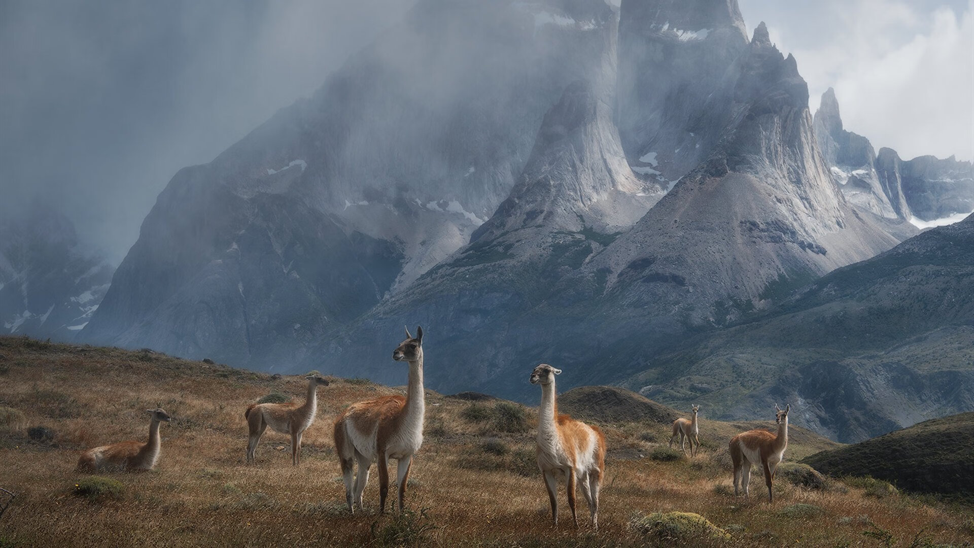 黄蜂宣布重用年轻控卫寻找组织核心,黄蜂johnson